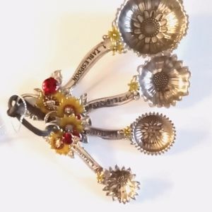 Decorative measuring spoons